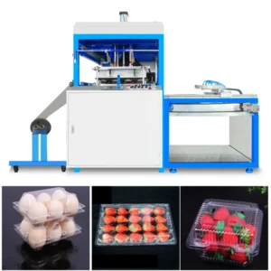 Automatic Blister Vacuum Forming Thermoforming Machine for Fruit Tray Disposable Food Box Container