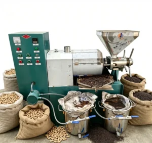 Automatic Cold Hot Oil Extractor Combined Oil Press Machine for Oil Plant Business with Filter