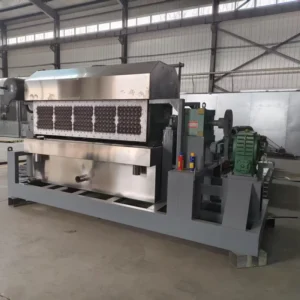 Automatic Egg Tray Wrap Machine 5500 Pcs H Film Wrapping System for Poultry Farm
