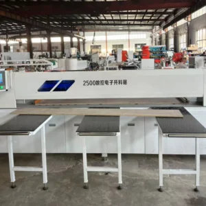 Automatic Electronic Panel Cutting Saw Computer Control Reciprocating Beam CNC Panel Saw for Wood