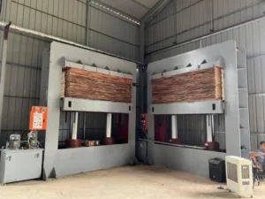 Automatic Two Cylinder Cold Press Machine Capacity 50 Ton
