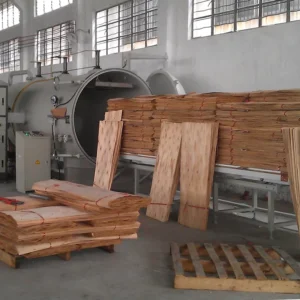 Factory Direct Sale JYC HF Vacuum Kiln for Wood Drying Veneer Dryer
