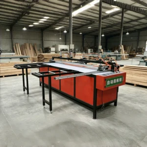 Full Automatic Precision Panel Saw for Woodworking Automatically Cuts Wood Boards CNC Saw Cutting Machine