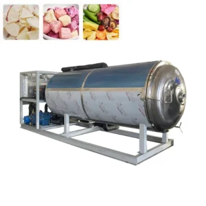 Fully Automatic Fruit Vegetable Freeze Drying Line For Fruits Vegs Berries Preserves Nutrition Color