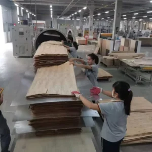 HF RF Vacuum Wood Drying Oven Stainless Steel Kiln Timber Drying Machine