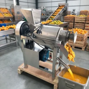 Industrial Juicer Commercial Cold Press Fruit Vegetable Apple Juicer Machine Stainless Steel Orange Citrus Lemon Juice Extractor