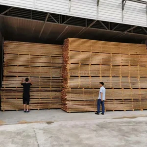 Industrial Lumber Drying Dehumidification Processing Low Consumption Wood Drying Kiln