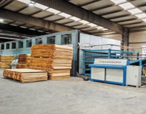Sinoeuro Wood Rotary Dryer in Drum Drying Equipment Rotary Dryer Machine
