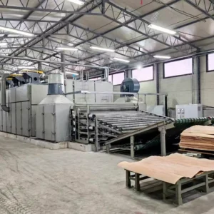 Wood Veneer Drying Machine Plywood Dryer Thin Veneer Dryer with Auto Feeder Veneer Grading System