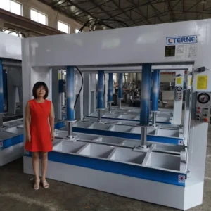 Woodworking 50T New Plywood Production Hydraulic Cold Press Machine with Motor & PLC